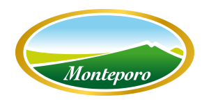 monteporo_logo